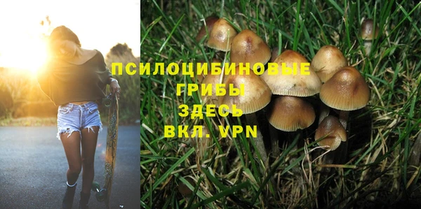 МДПВ Вязьма