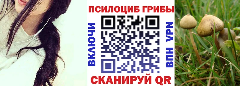 Галлюциногенные грибы мухоморы  omg tor  площадка какой сайт  Раменское 
